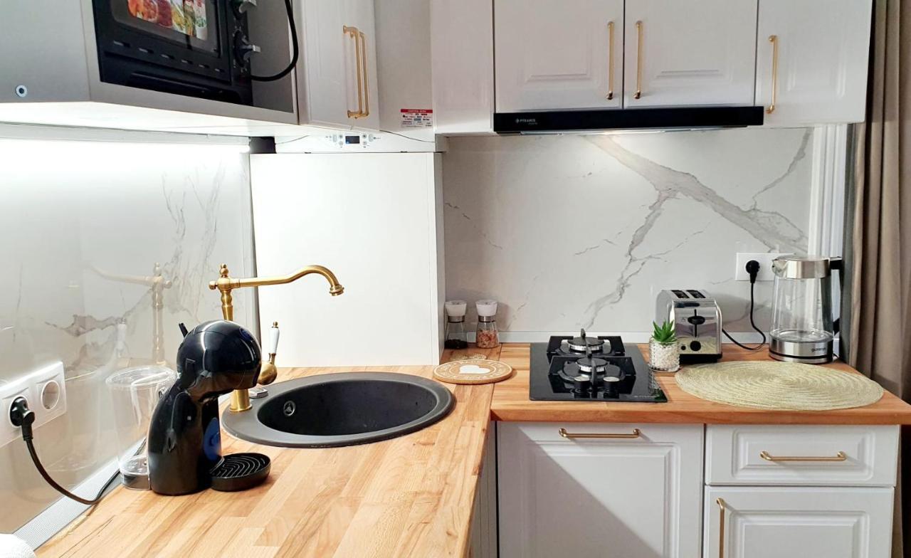 Apartament De Lux Central, P-Ta Matei Corvin 克卢日-纳波卡 外观 照片
