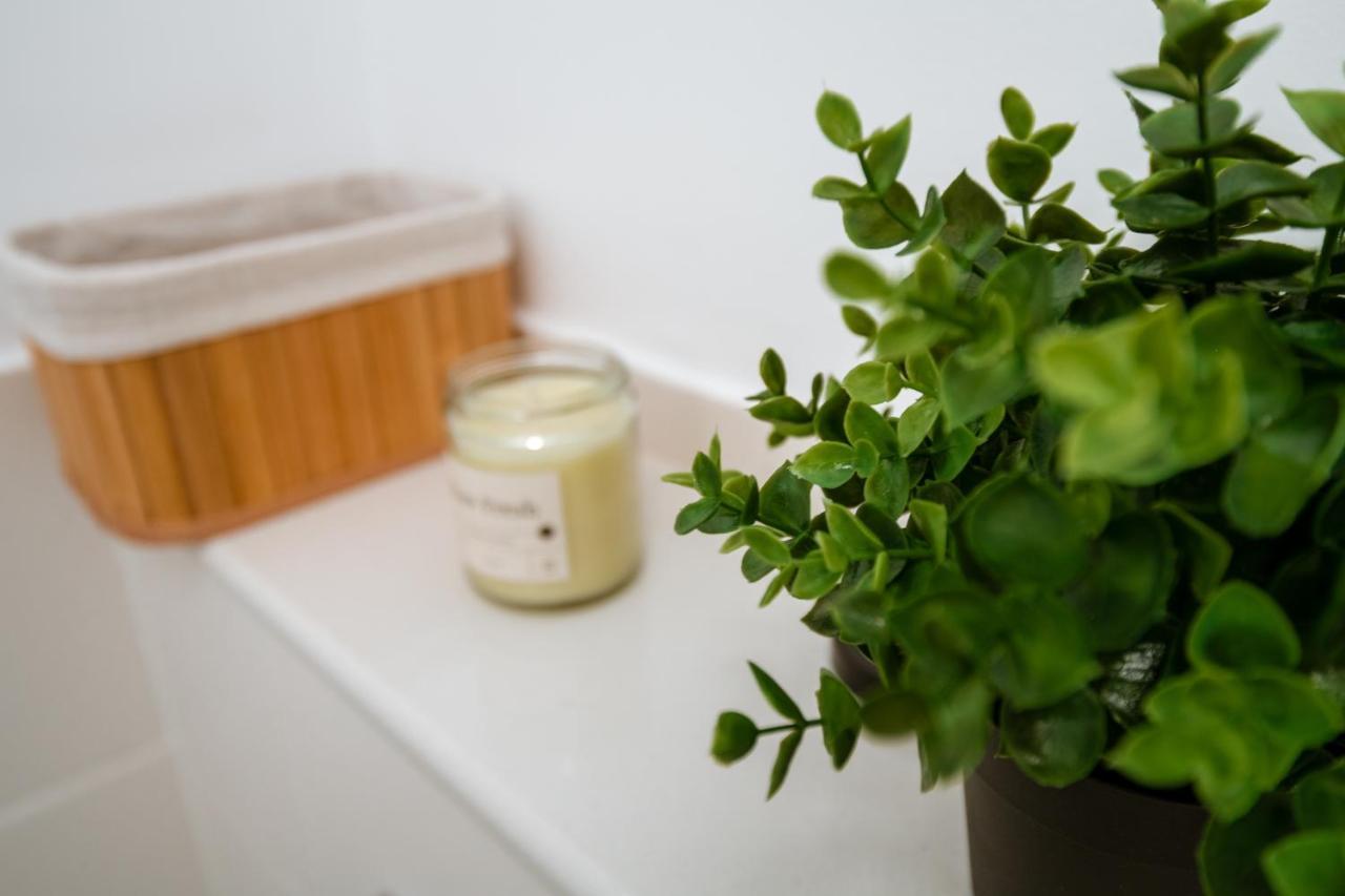 Apartament De Lux Central, P-Ta Matei Corvin 克卢日-纳波卡 外观 照片